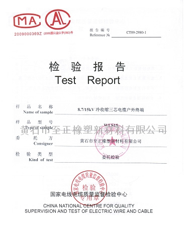 Test report